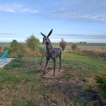 Bed and Breakfast La Fosse Seche Dolus-le-Sec Екстер'єр фото